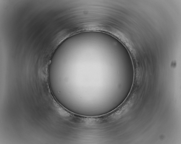 X0000097670897200803211940