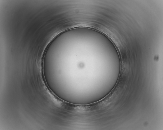 X0000097670898200803211940