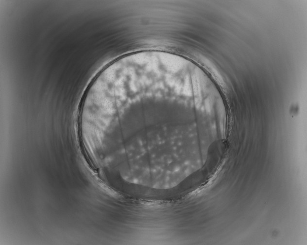 X0000097670899200803211940