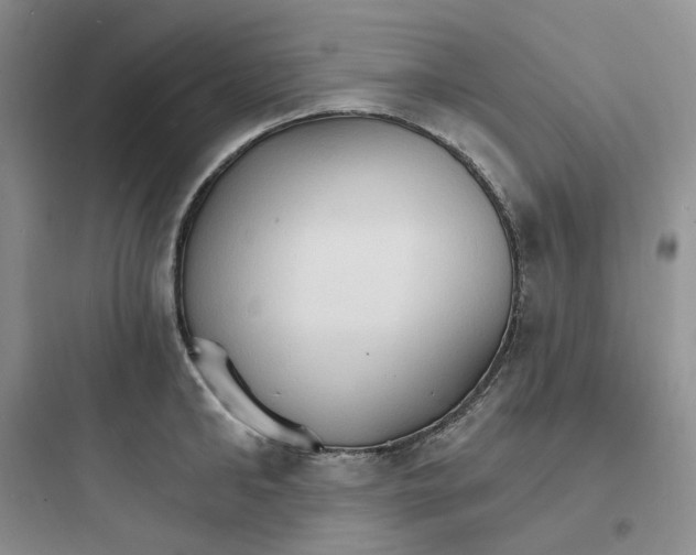 X0000097670902200803211940