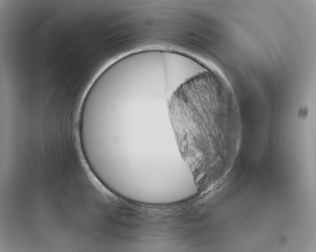 X0000097670903200803211940