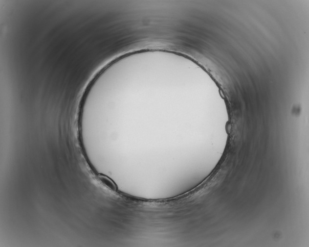 X0000097670904200803211940