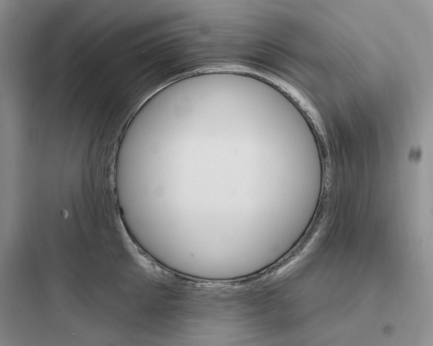 X0000097670905200803211940