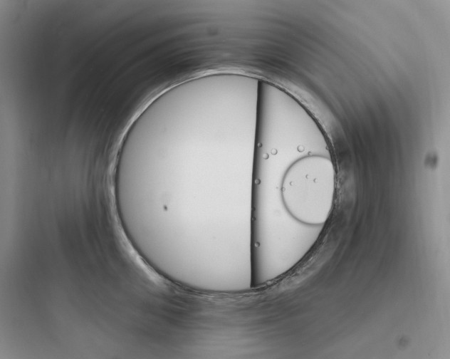 X0000097670906200803211940