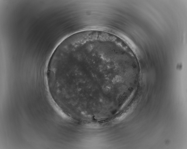 X0000097670907200803211940