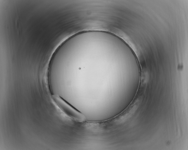 X0000097670909200803211939