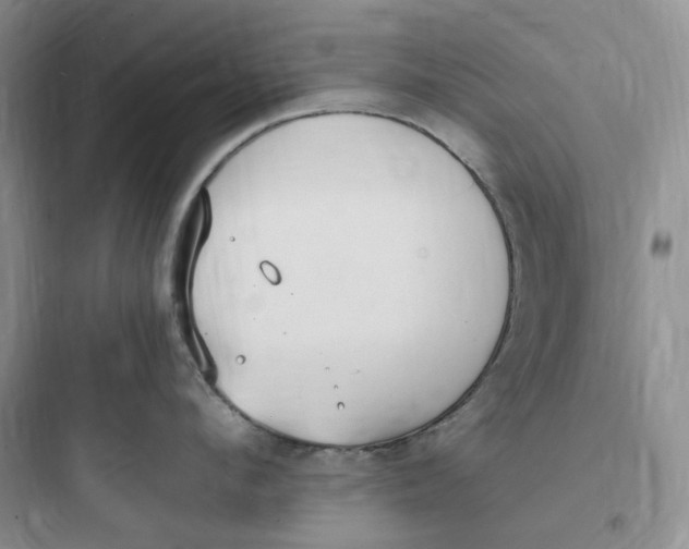 X0000097670912200803211939