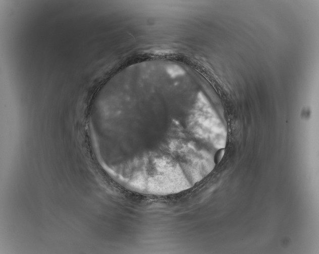 X0000097670913200803211939