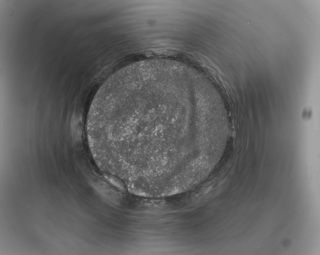 X0000097670915200803211939