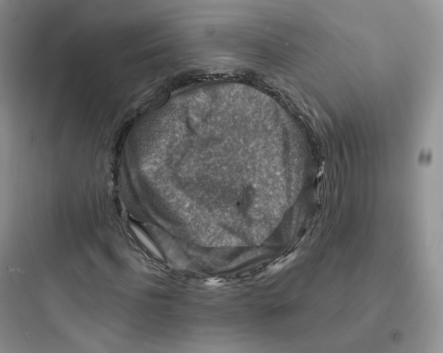 X0000097670916200803211939