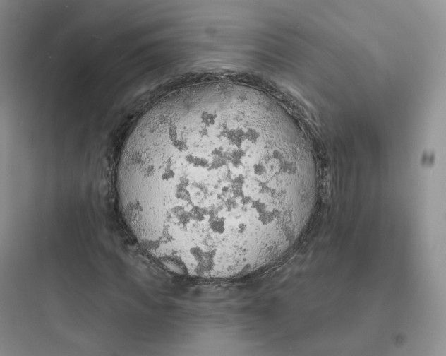 X0000097670917200803211939