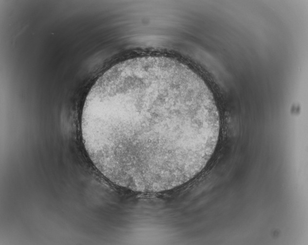 X0000097670918200803211939