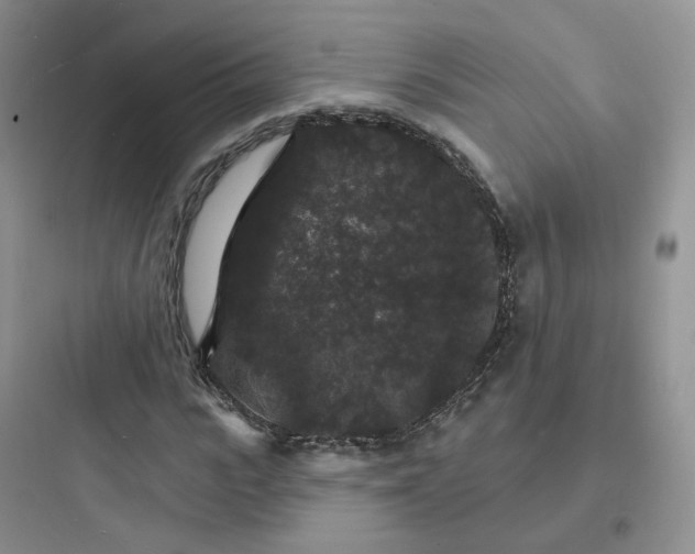 X0000097670919200803211939