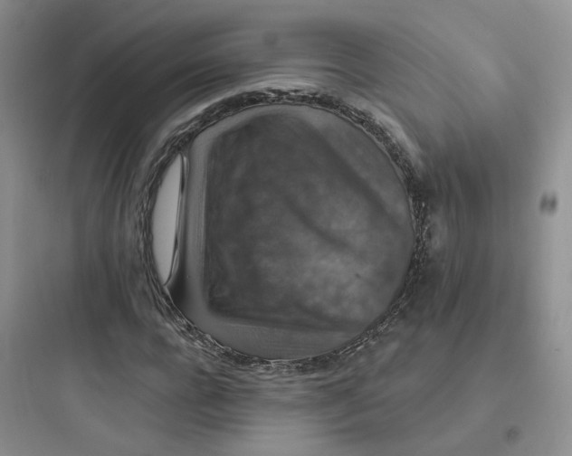 X0000097670920200803211939