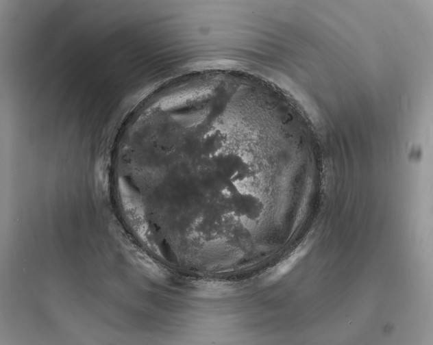 X0000097670921200803211939