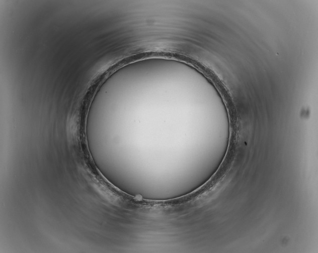 X0000097670922200803211939