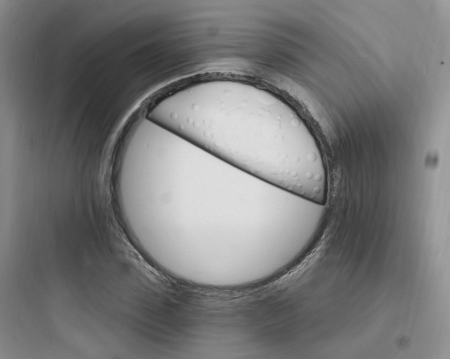 X0000097670923200803211939