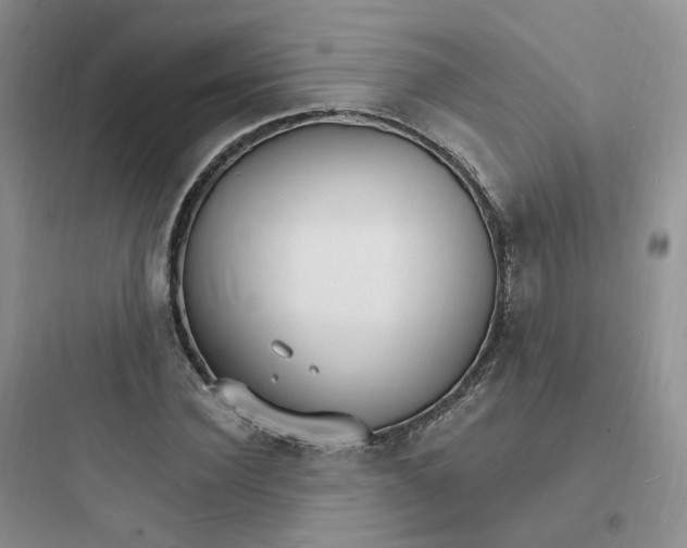 X0000097670924200803211939