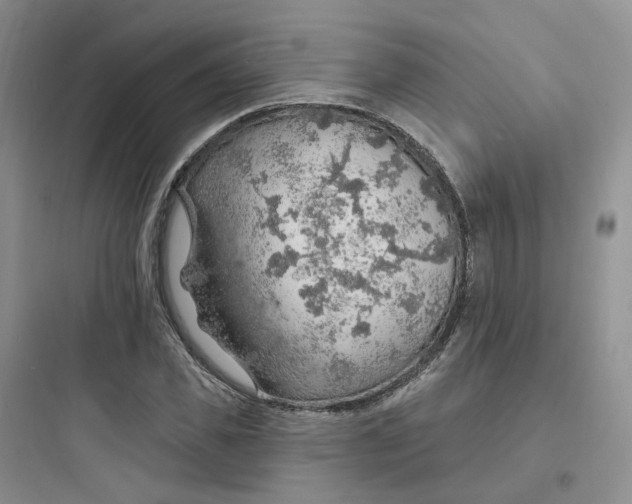 X0000097670925200803211939