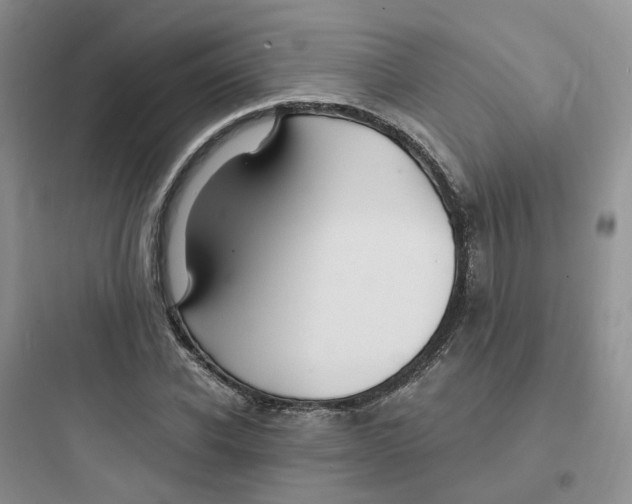 X0000097670926200803211939