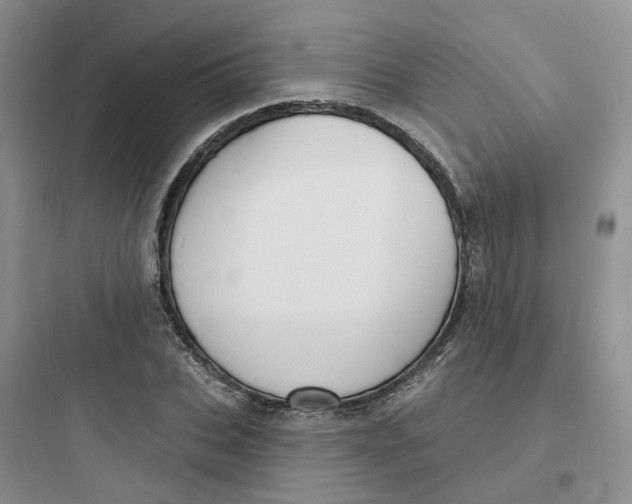 X0000097670927200803211939