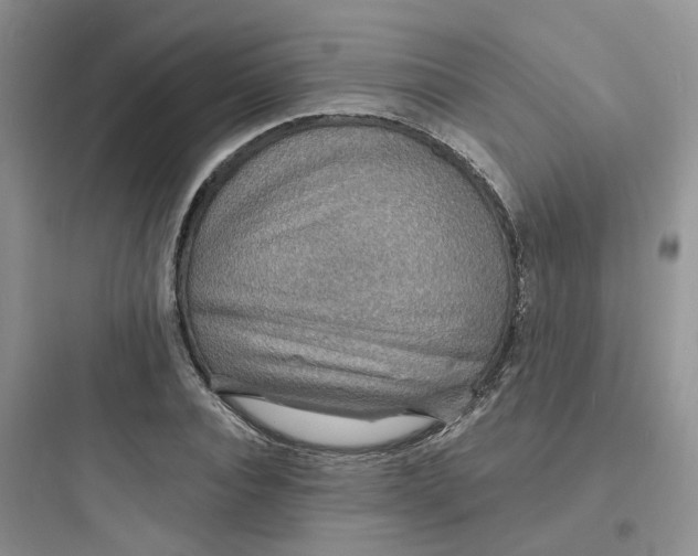 X0000097670928200803211939