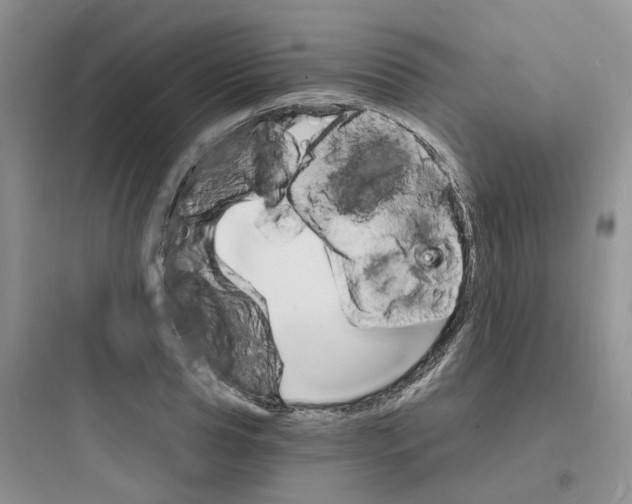 X0000097670929200803211939