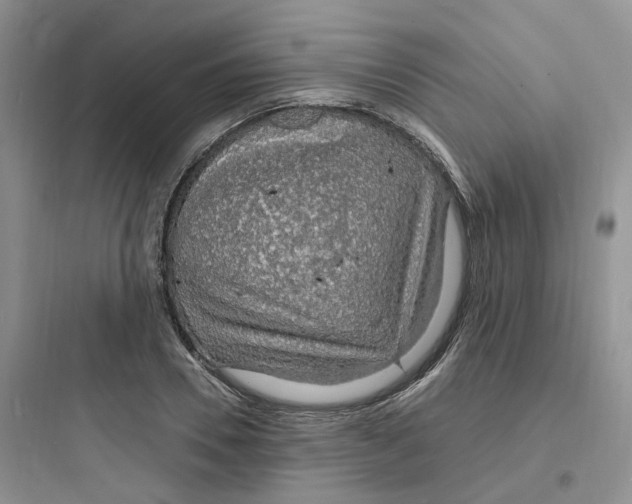 X0000097670930200803211939