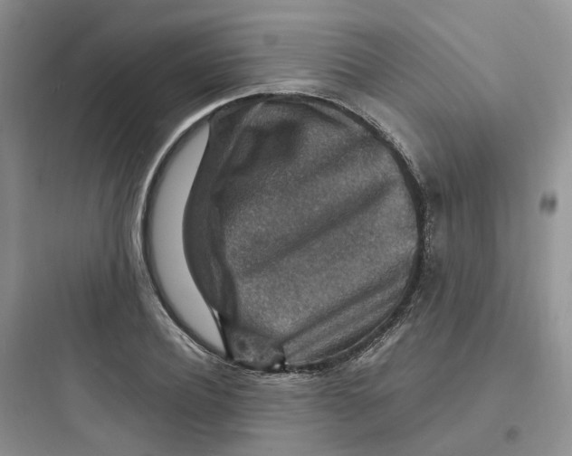 X0000097670932200803211939