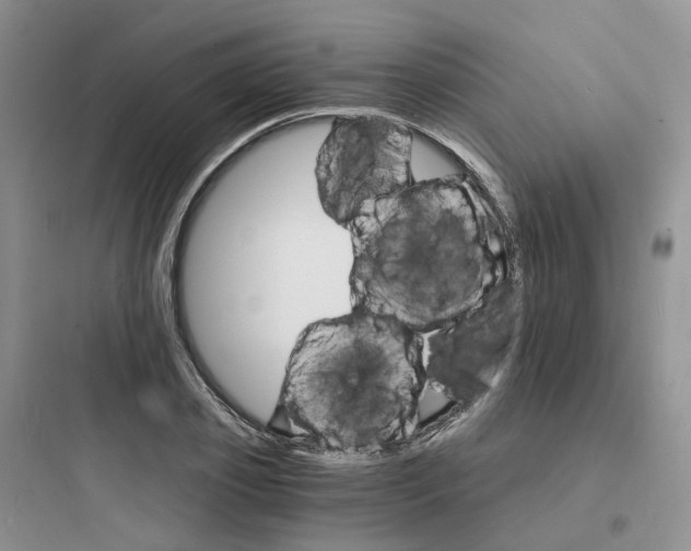 X0000097670933200803211939