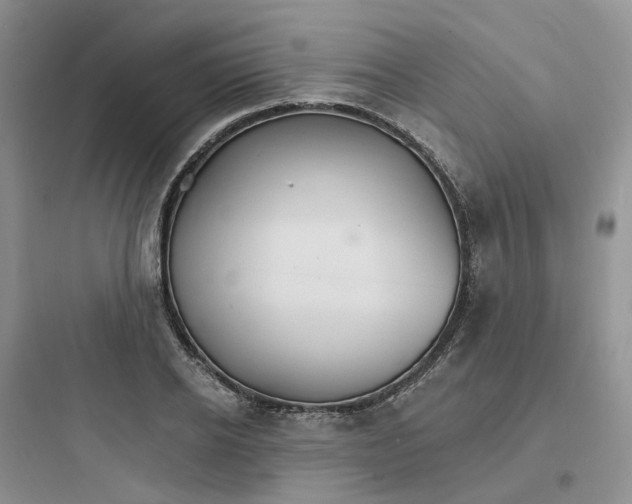 X0000097670934200803211939