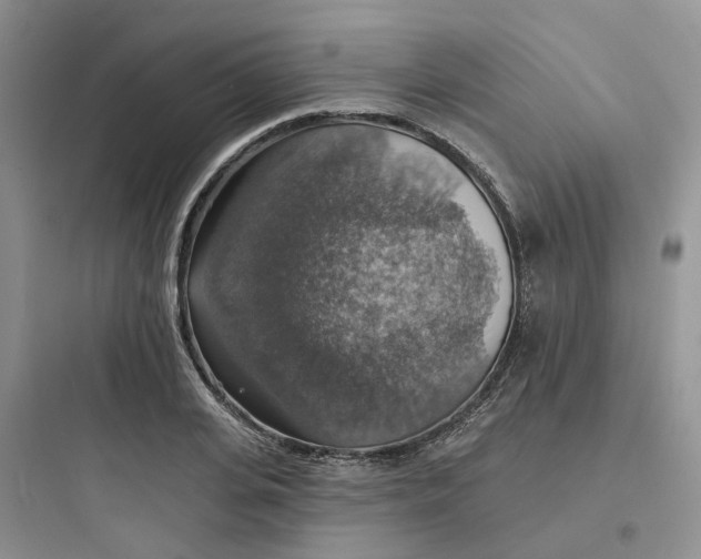 X0000097670935200803211939