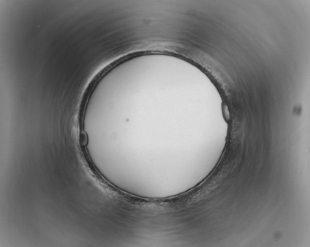 X0000097670936200803211939