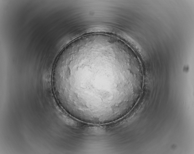 X0000097670937200803211939