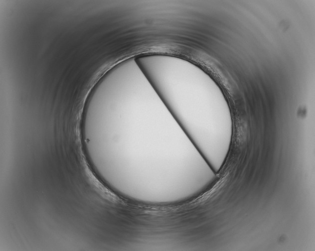 X0000097670938200803211939