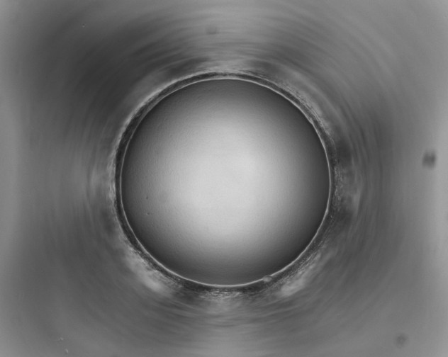 X0000097670939200803211939