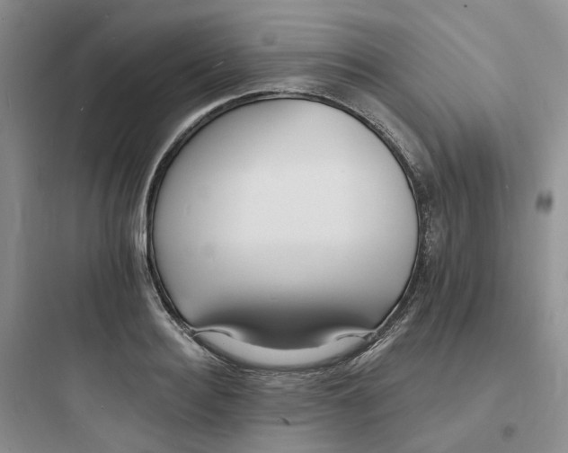 X0000097670940200803211939