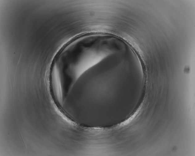 X0000097670941200803211939