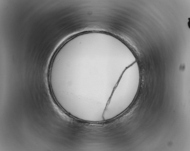 X0000097670942200803211939