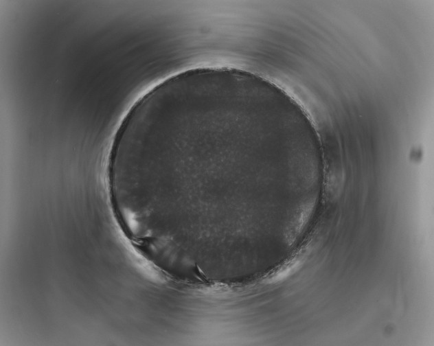 X0000097670943200803211939