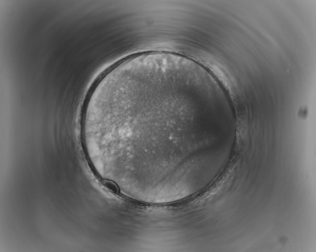 X0000097670944200803211939