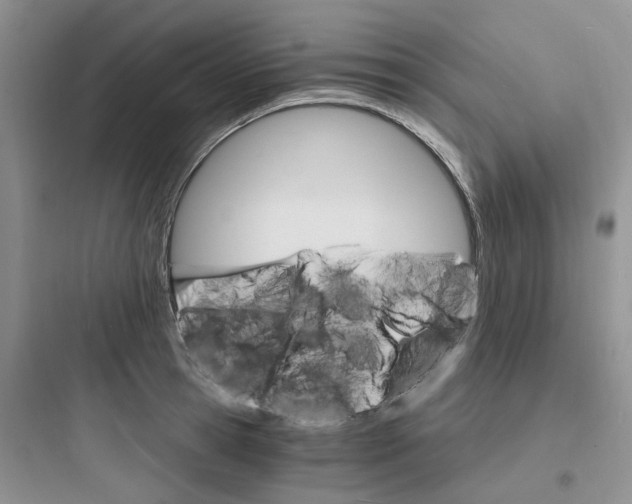 X0000097670945200803211939