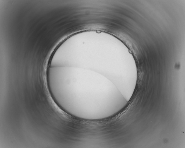 X0000097670947200803211939