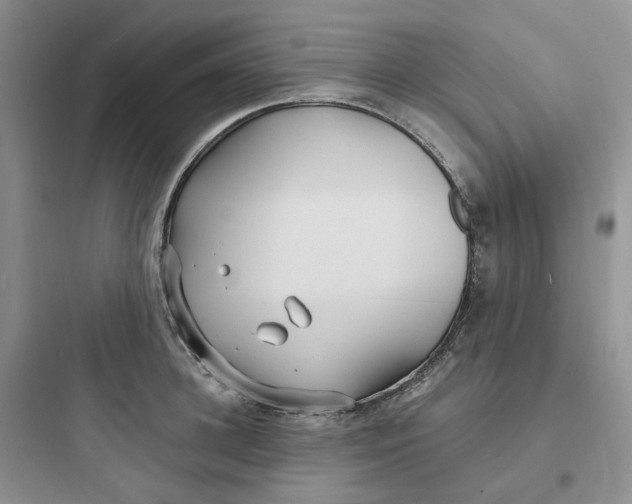 X0000097670948200803211939