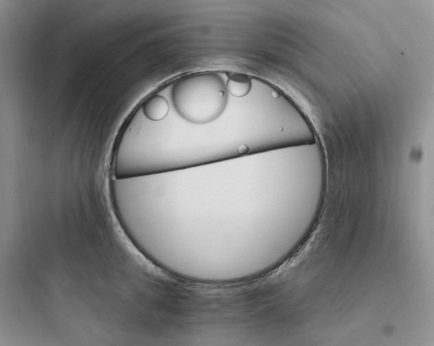 X0000097670949200803211939