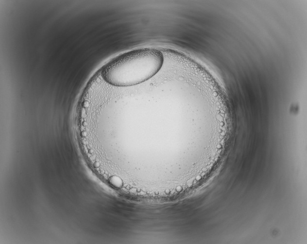 X0000097670950200803211939