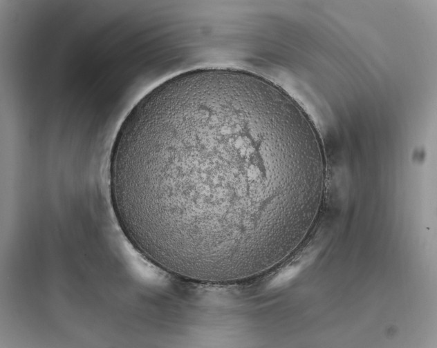 X0000097670951200803211939