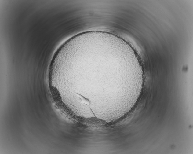 X0000097670952200803211939