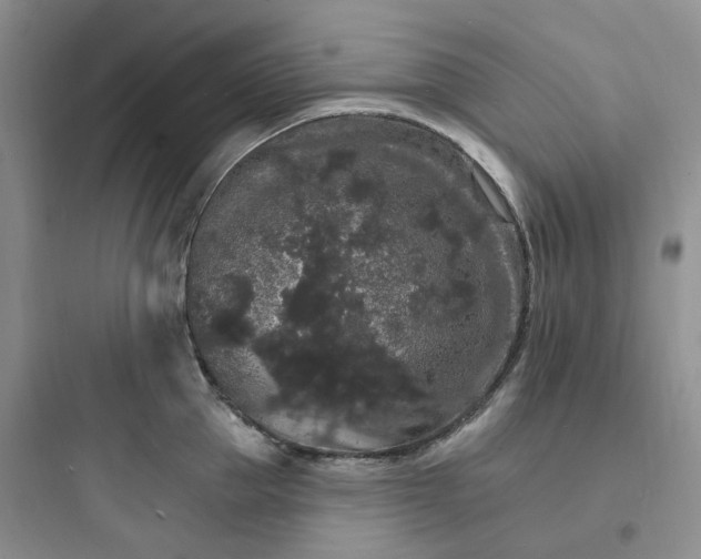 X0000097670953200803211939