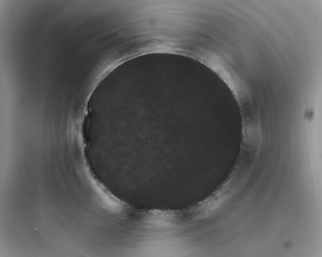 X0000097670954200803211939